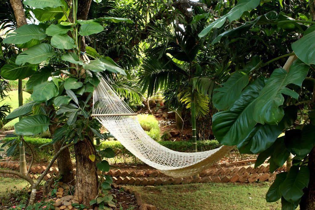 Nirvana Hermitage Anjuna Exteriör bild